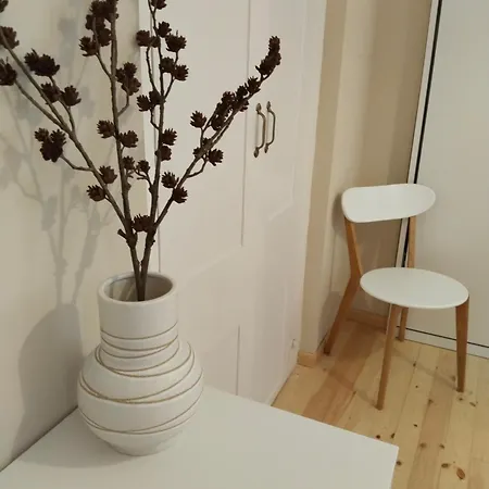 1920 Classic דירה *