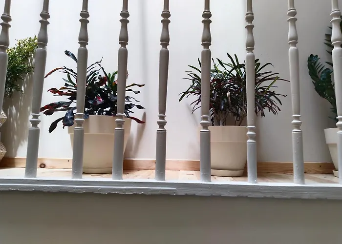 1920 Classic Lejlighed *