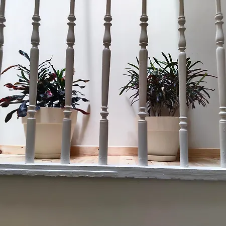 1920 Classic Апартаменты *