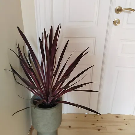 1920 Classic Апартаменты