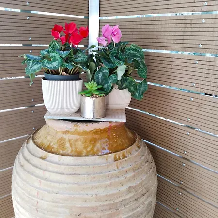 Апартаменты 1920 Classic *