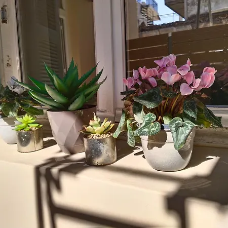 1920 Classic Каламата