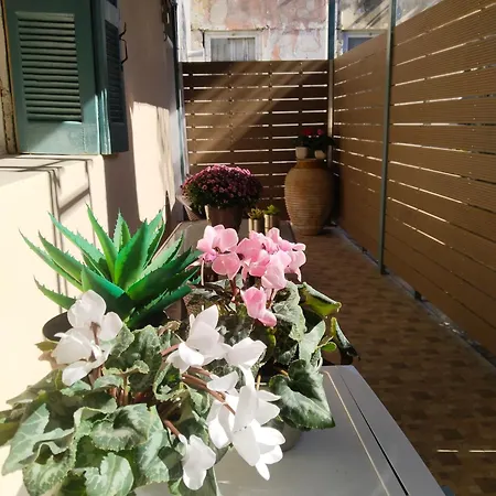 1920 Classic Καλαμάτα