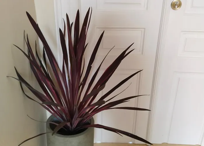 1920 Classic Apartmán