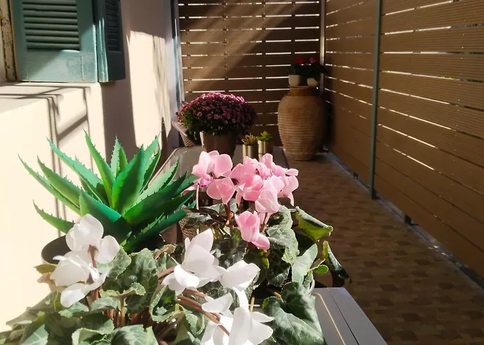 1920 Classic Kalamata